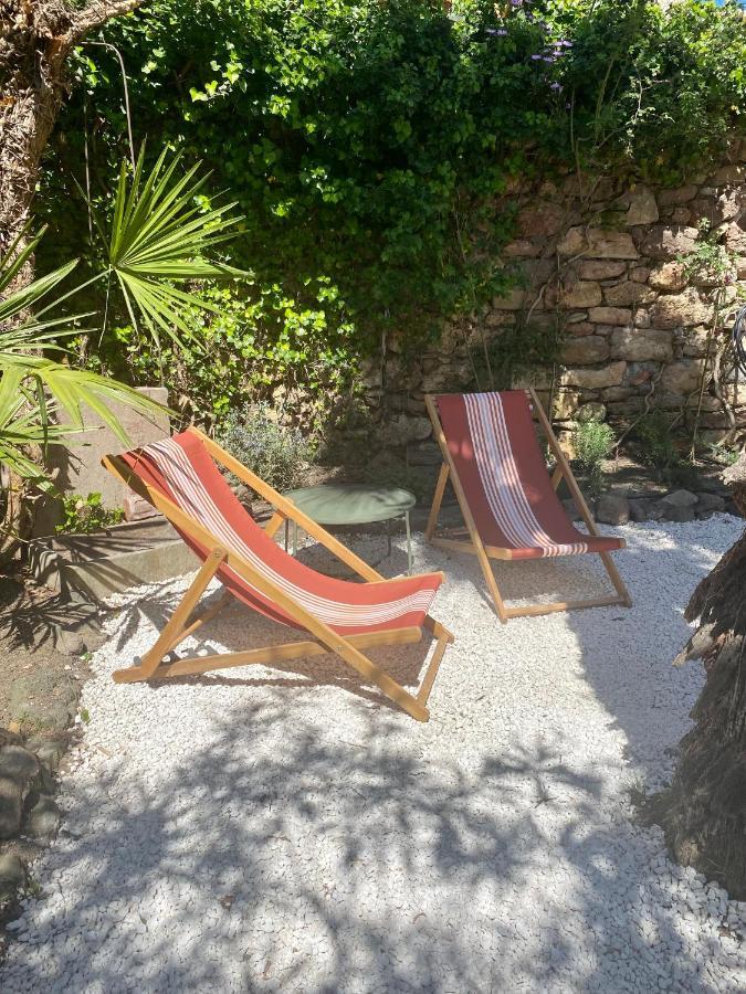 Gite Le Palmier - Perfectly Located Cosy Studio With Private Garden Puissalicon Екстер'єр фото